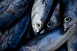 © Heri Mardinal - Fresh tuna sale at traditional seafood market