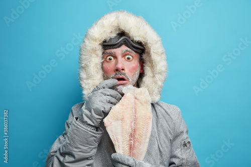 Emotional shocked frosty man dressed in winter outerwear holds frozen fish feels very cold during low temperature in northern place isolated on blue wall travels through blizzard. Male adventurer