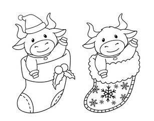 Set of two cows sitting in the sock. Christmas contour vector illustration for children coloring book.