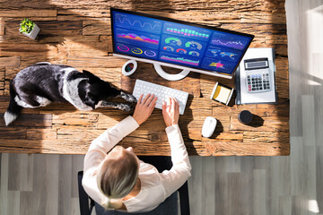 Poster - Women Using KPI Analytics Technology For Marketing On Computer