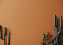 Cactus Plant Background, Trendy Orange Minimal Background With Cactus Plant.3d Rendering