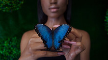 Young And Beautiful Black Model Exotic Look With Bright Blue Butterfly