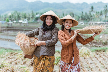 two traditional Javanese farmers bring their rice crops with woven bamboo trays in the rice fields