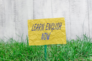 Poster - Word writing text Learn English Now. Business photo showcasing gain or acquire knowledge and skill of English language Plain empty paper attached to a stick and placed in the green grassy land