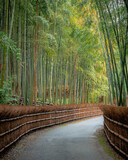 Fototapeta Dziecięca - Kyoto bamboo forest