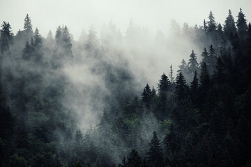 Wall Mural - misty mountain landscape