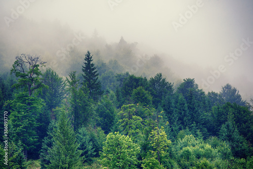 Misty mountain landscape
