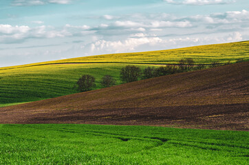  Rural spring landscape