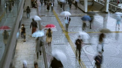 Wall Mural - Time-lapse video of crowd people with umbrellas walking in rainy city, Tokyo, Japan　雨の東京 傘をさして歩く人々 タイムラプス ハイアングル