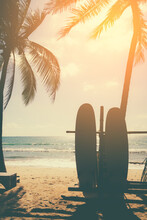 Surfboards Beside Coconut Trees At Summer Beach.