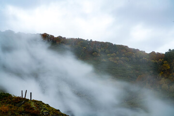 Poster - Tamakawa Onsen in Akita, 2020.