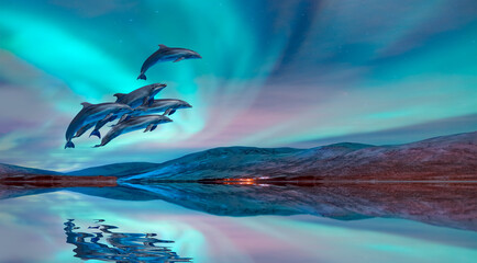 Wall Mural - group of dolphins jumping on the water with - northern lights in the sky over the calm sea