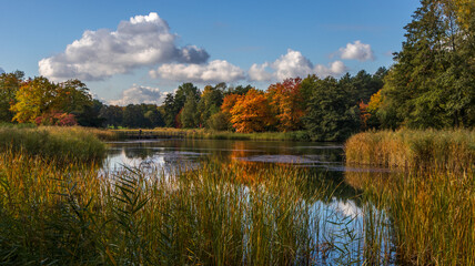 Wall Mural - Herbst Landschaft