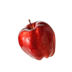 Red apple with water drops isolated on white