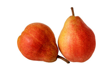 Two whole pears on a white