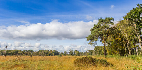 Wall Mural - Panorama of the grass plains in autumn in Appelbergen, Netherlands