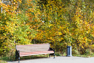 Canvas Print - wooden bench lit by sun and trash can near colorful trees along footpath in city park on sunny autum