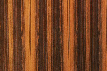 wood tree timber texture structure backdrop