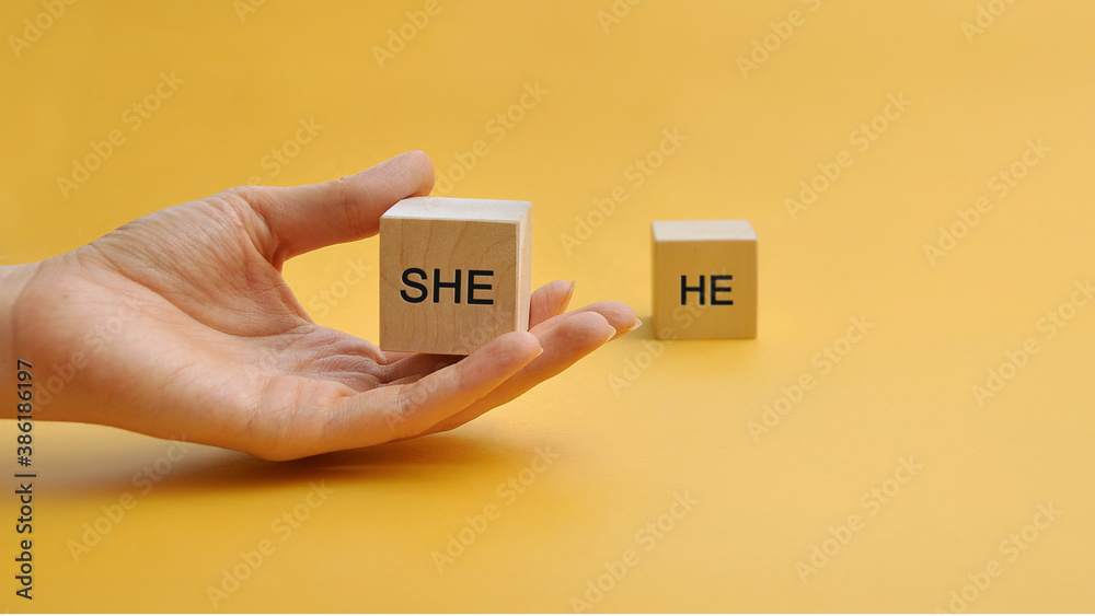 Wooden cubie with the words he and she. Gender inequality. The choice in favor of women - obrazy, fototapety, plakaty 