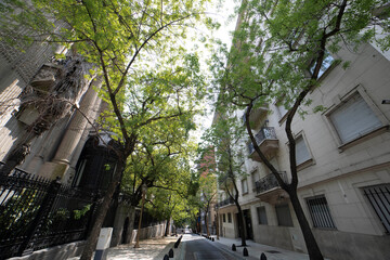 calle con arboles europea