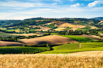 Wall Mural - Countryside, landscape and cultivated fields. Marche, Italy