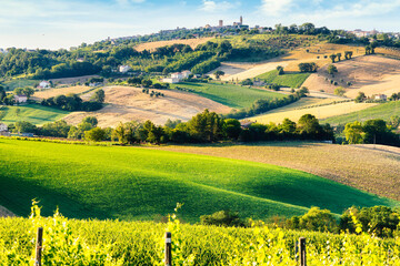 Wall Mural - Countryside, landscape and cultivated fields. Marche, Italy