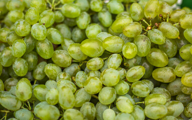  Green bunches of grapes, fresh crop at the farmers market.
