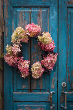 Autumn Wreath Of Faded Hydrangea Flowers Hanging On A Blue, Rough Painted Wooden Barn Door