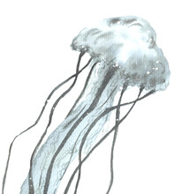 Hand Drawn Watercolor Jellyfish In Gray-blue Shades On A White Background. Design Element