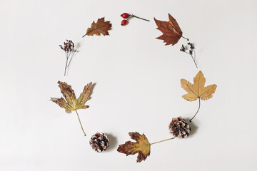 Wall Mural - Colorful autumn maple, oak leaves and pine cones with dry plants laid on a white table background. Natural floral fall circle, wreath composition with rose hips. Flat lay, top view. Thanksgiving.