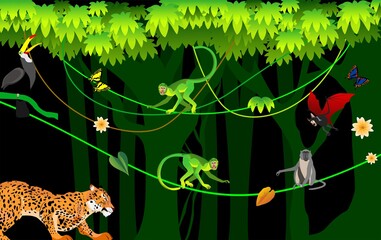 Wall Mural - Jungle scene,  monkeys plays on lians, green folliage frame, night junle, vector template
