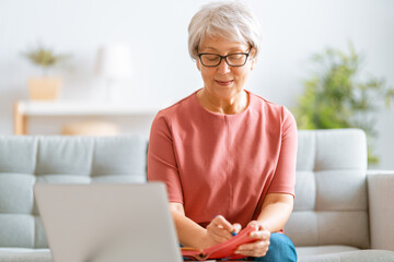 Wall Mural - senior woman is using laptop