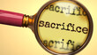 Examine and study sacrifice, showed as a magnify glass and word sacrifice to symbolize process of analyzing, exploring, learning and taking a closer look at sacrifice, 3d illustration