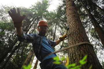 Wall Mural - Male worker with an ax chopping a tree in the forest.