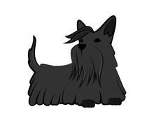 Scottish Terrier Dog Simple Illustration