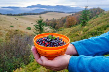 Hands holding bowl full of wild berries