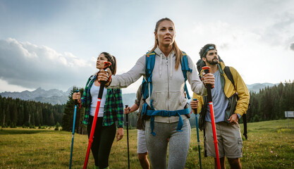 Wall Mural - Group of fit healthy friends trekking in the mountains