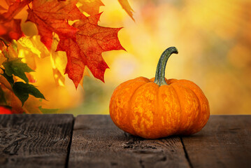 Wall Mural - mini pumpkin on rustic wooden table. beautiful autumn maple tree leaves background with golden bokeh