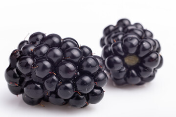 Wall Mural - two blackberries closeup on white background