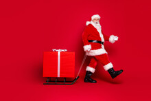 Photo Portrait Of Fat Trendy White Bearded Santa Claus Walking Pulling Sleigh With Big Present With Open Mouth Isolated On Vivid Red Colored Background