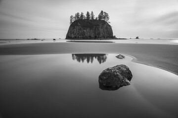 Wall Mural - Second beach at mt. Olympic national park,Washington,usa.