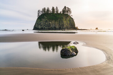 Wall Mural - Second beach at mt. Olympic national park,Washington,usa.