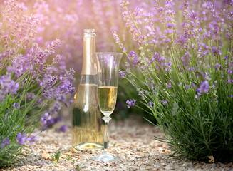 Wall Mural - A bottle of champagne and glasses in a sunset lavender field.