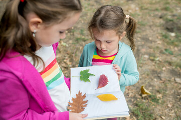 Two adorable girls collecting colorful leaves for a herbarium on a warm autumn day in the forest. Children exploring the outside nature.
