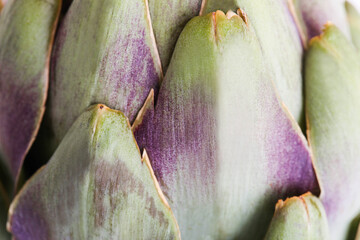 Wall Mural - Fresh artichoke texture