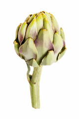 Wall Mural - Fresh artichoke