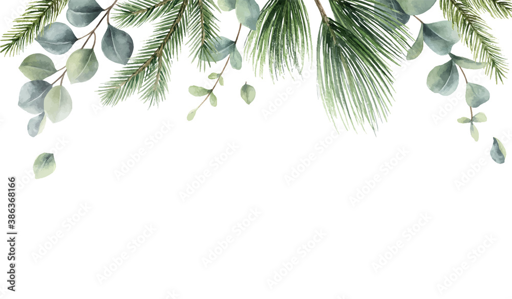 Watercolor vector Christmas card with fir branches and eucalyptus ...