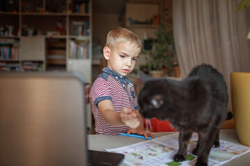 Wall Mural - Distant education, true online education. Schoolchild studying with cat during lesson at home