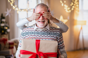 Wall Mural - Unrecognizable young woman giving present to senior grandfather indoors at home at Christmas.