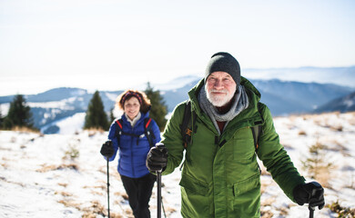 Sticker - Senior couple with nordic walking poles hiking in snow-covered winter nature.